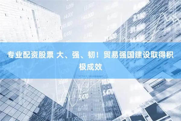专业配资股票 大、强、韧！贸易强国建设取得积极成效