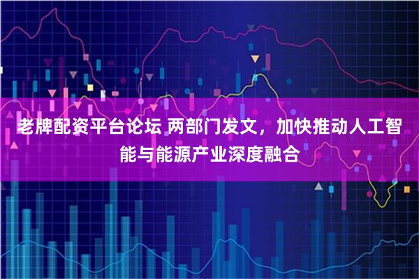 老牌配资平台论坛 两部门发文，加快推动人工智能与能源产业深度融合