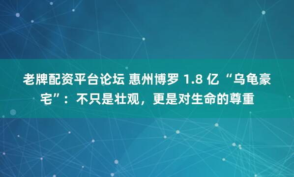 老牌配资平台论坛 惠州博罗 1.8 亿 “乌龟豪宅”:不只是壮观,更是对生命的尊重
